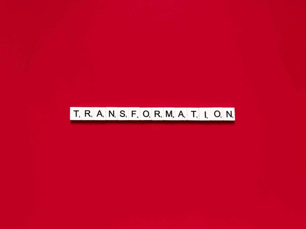 Comment transformer un espace abandonné en un jardin communautaire productif ?